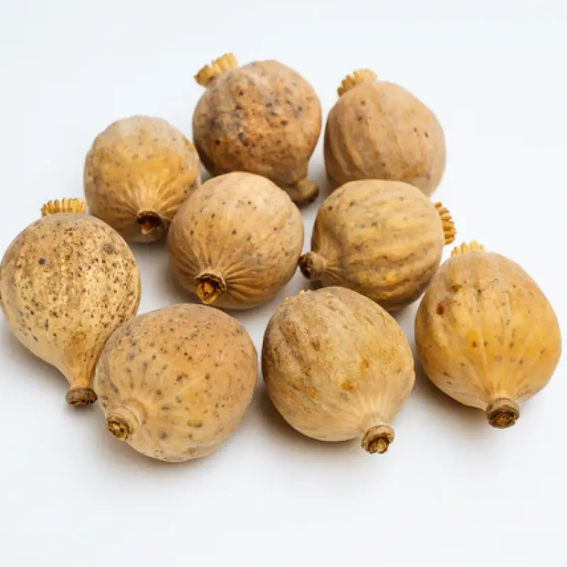 Poppyace Big Pods – 900 Grams